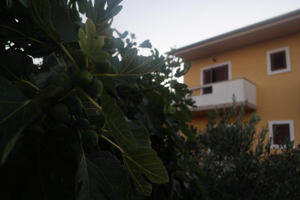 Apartment Lavanda Zadar Eksteriør bilde